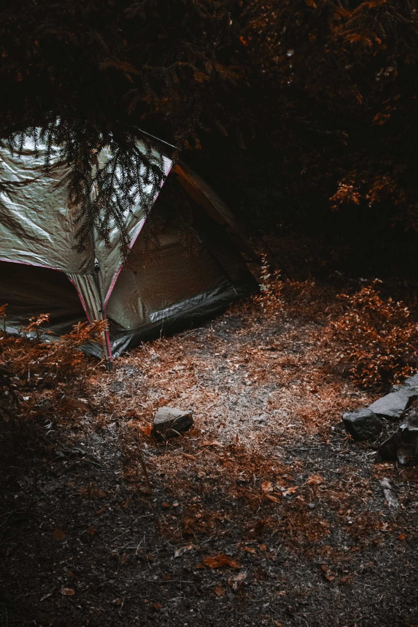 Shoulder-Season Camping: What Changes in Spring and Autumn