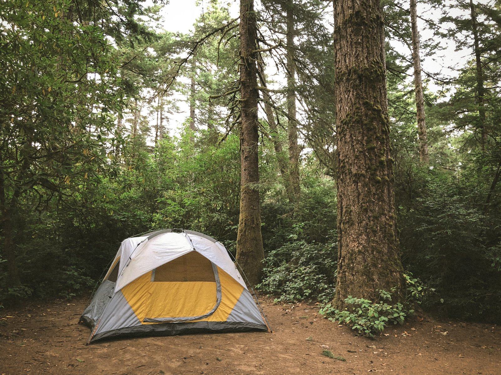 What Size Tent Do You Actually Need?