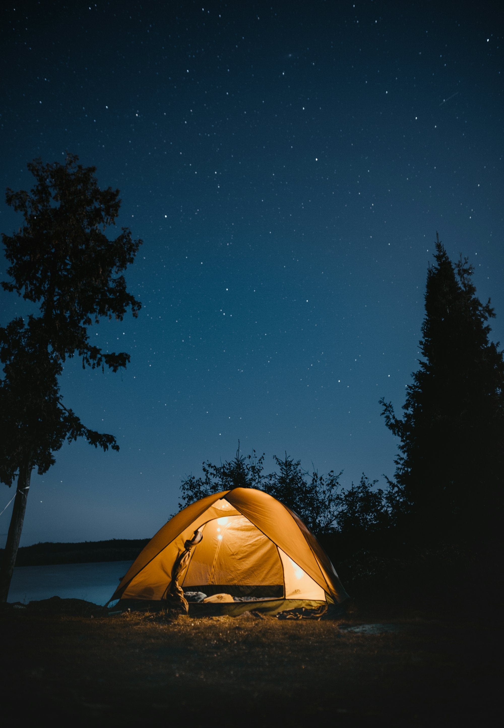 A lit tent glowing among dark trees at night