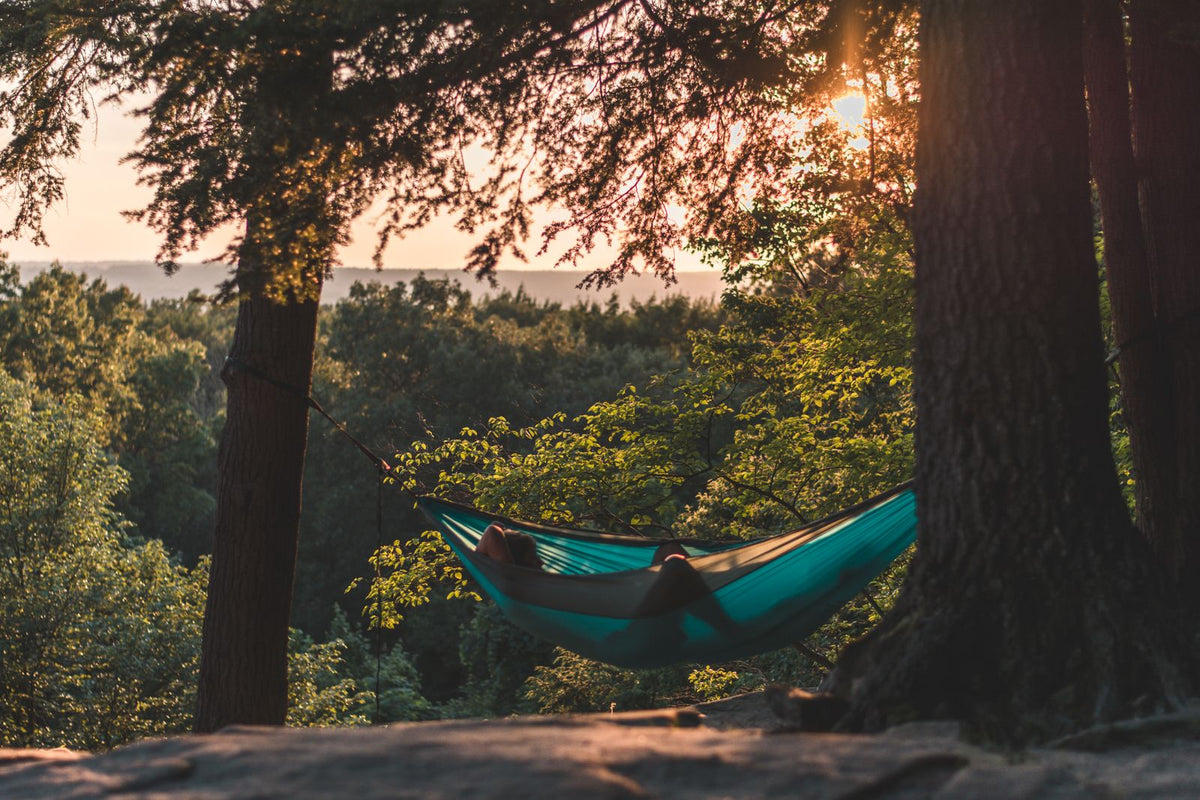 Hammock vs. Tent: Which Is Right for Your Trip?