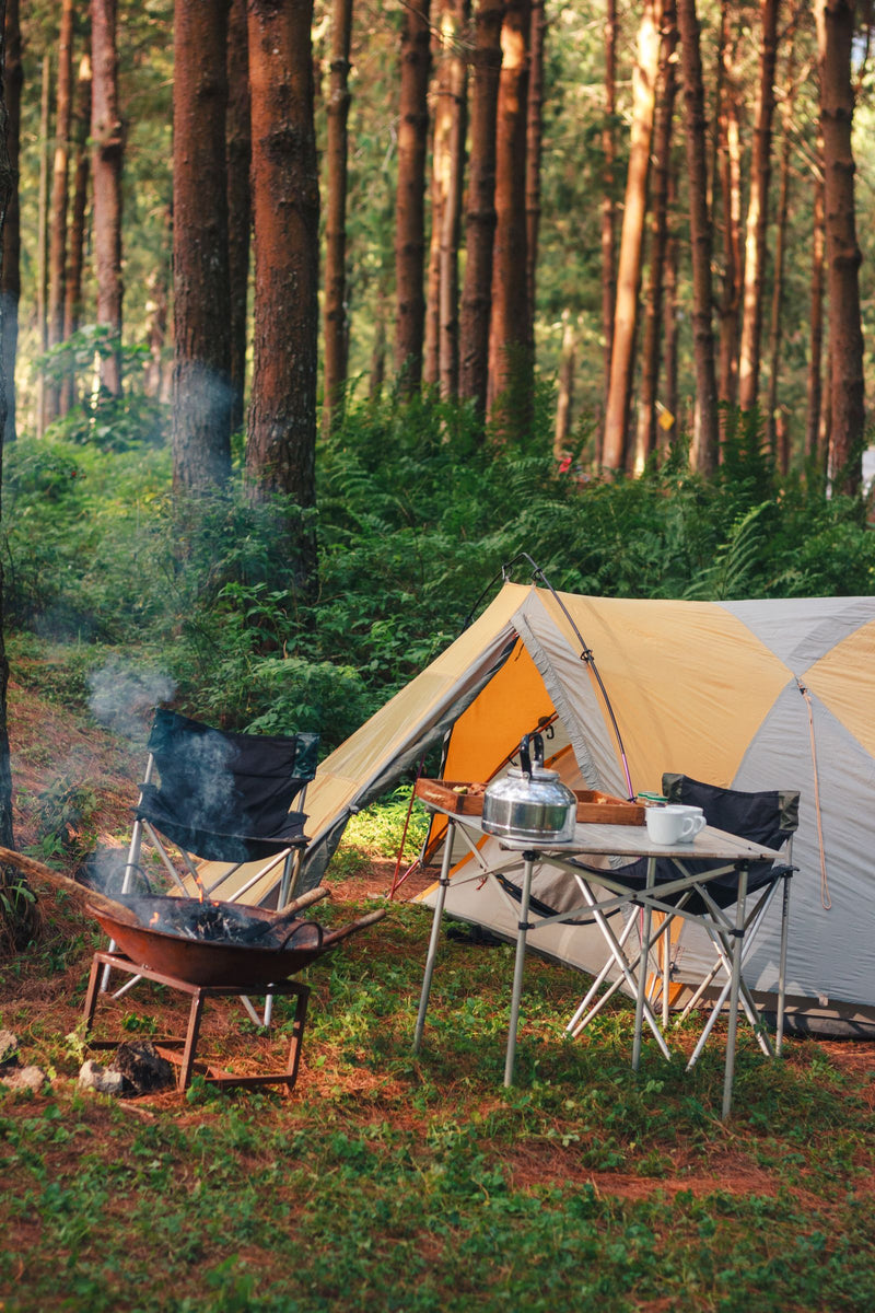 Leave No Trace: The Complete Field Guide