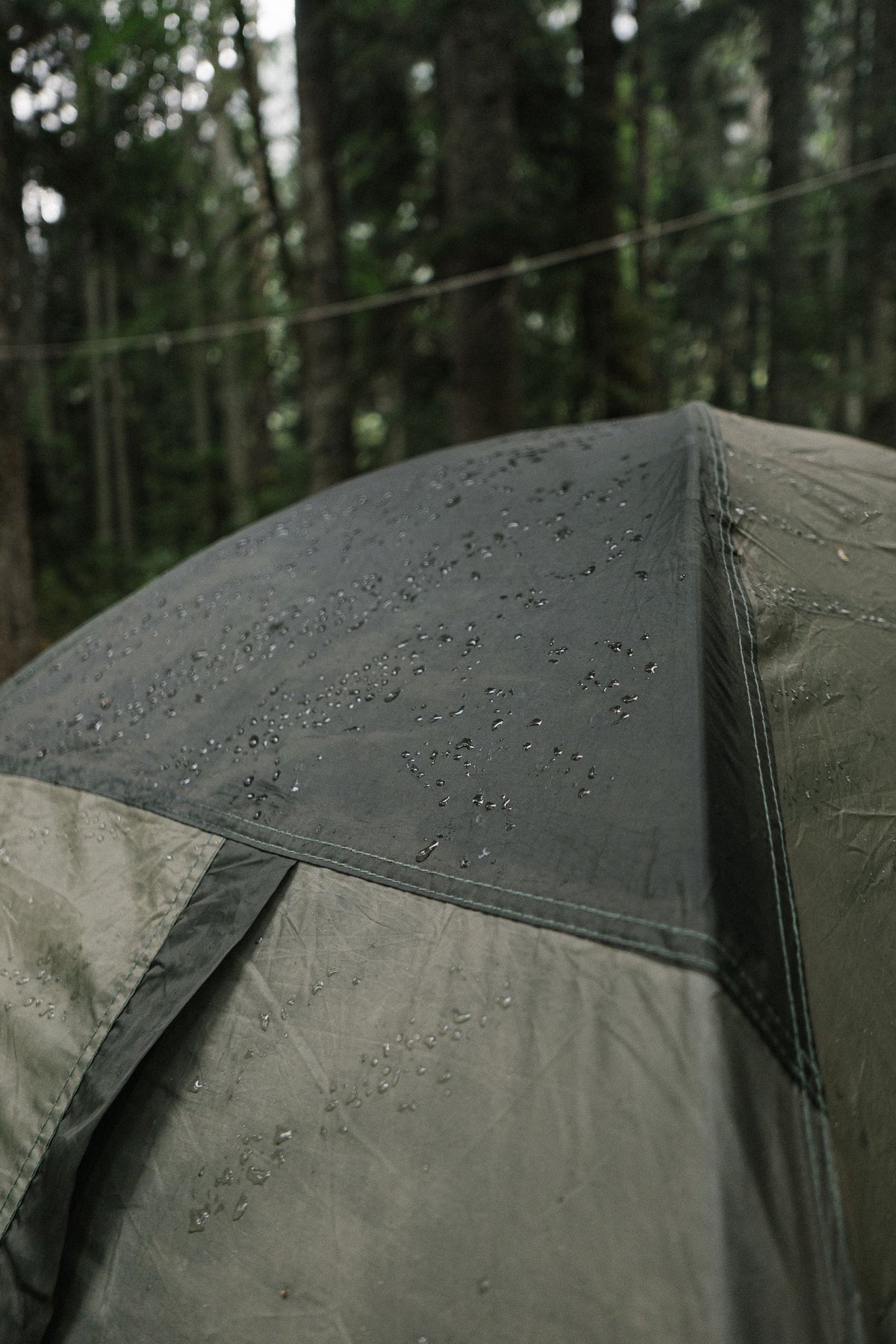How to Stay Dry When the Forecast Lies
