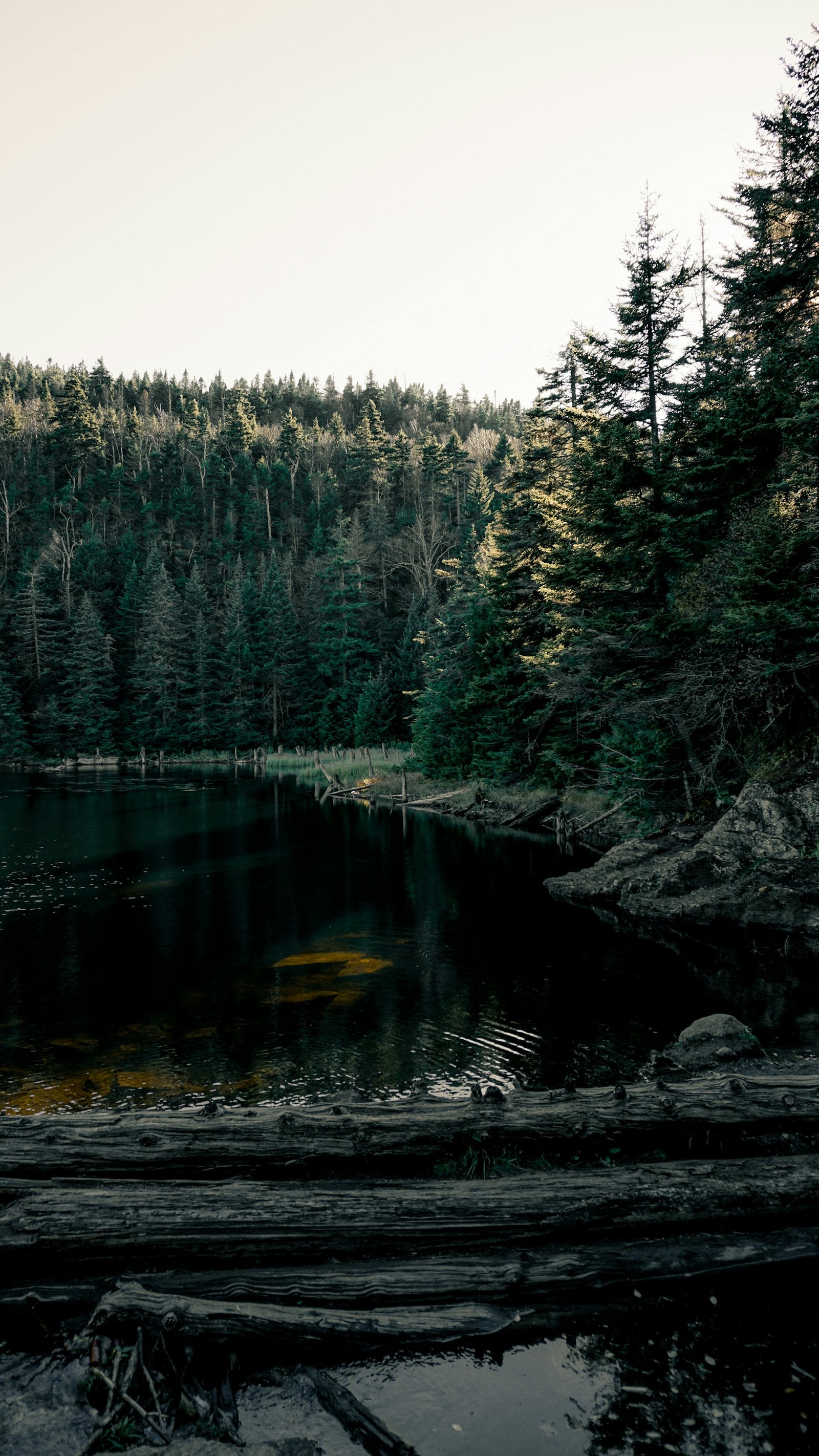 Leave No Trace, Practically