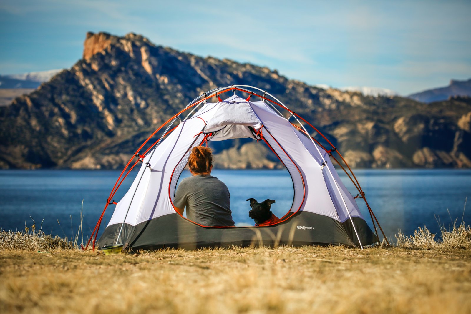 Camping With a Dog: A First-Timer's Field Guide